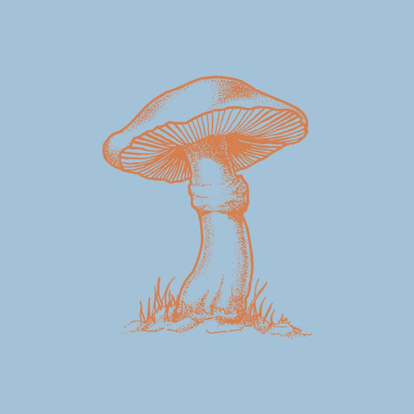file.jpg