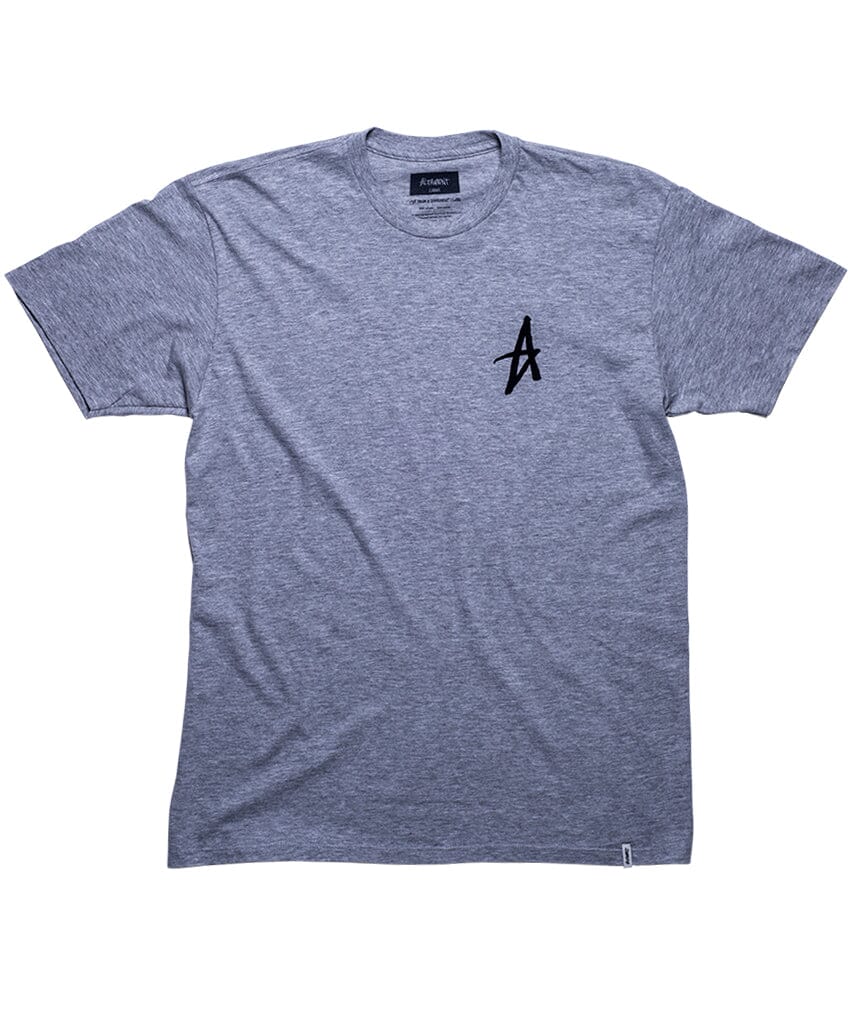 MINI DECADE ICON TEE S/S Basic T-Shirt Altamont Apparel GREY/HEATHER S 
